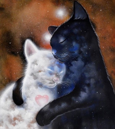 Художник Raphael Vavasseur