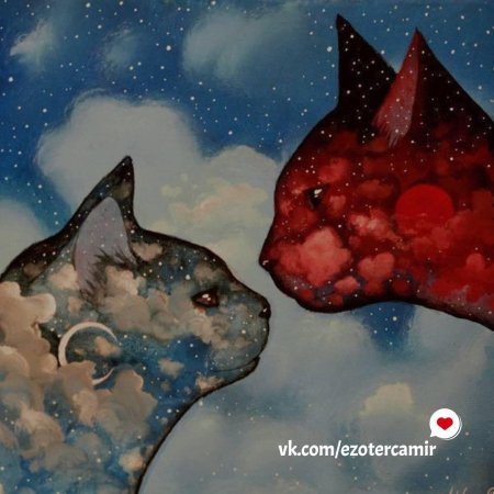 Художник Raphael Vavasseur