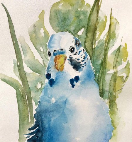 Попугай акварелью