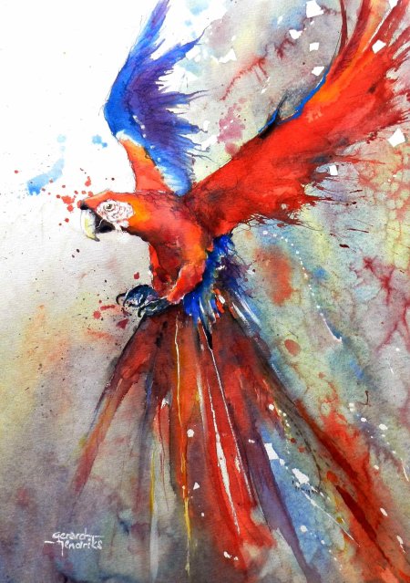 Попугай акварелью
