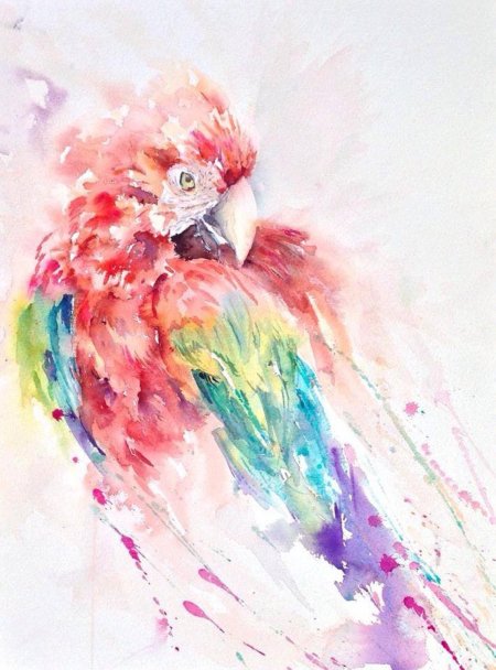 Акварельный попугай