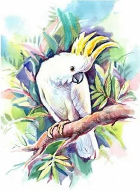 Тропические птицы акварель