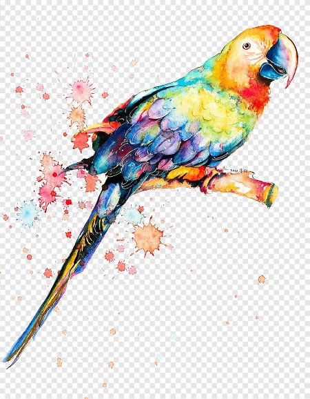 Принт разноцветный попугай