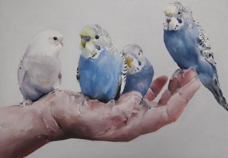 Попугай акварелью