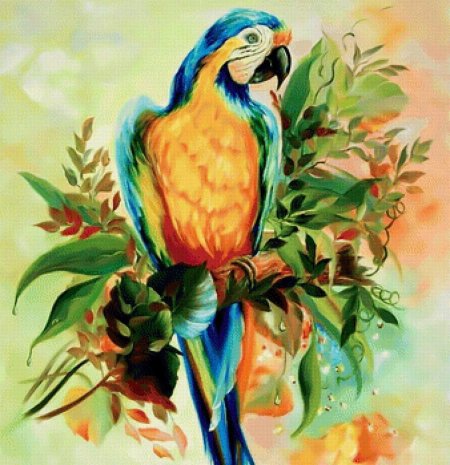 Акварельная живопись попугаи ара жако