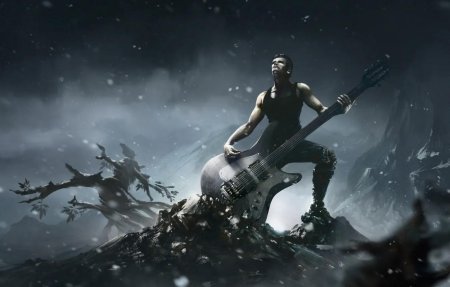 Гитарист рамштайн