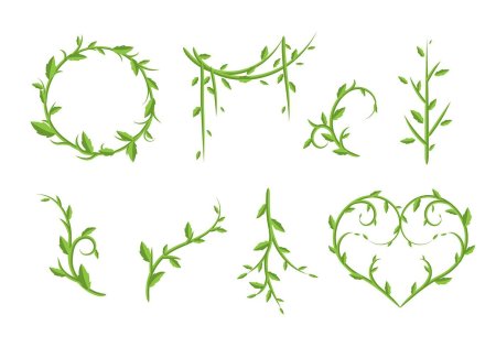 Растительный узор