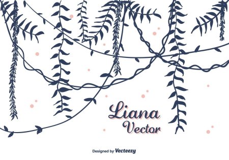 Лианы рисунок