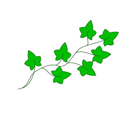 Листья лианы