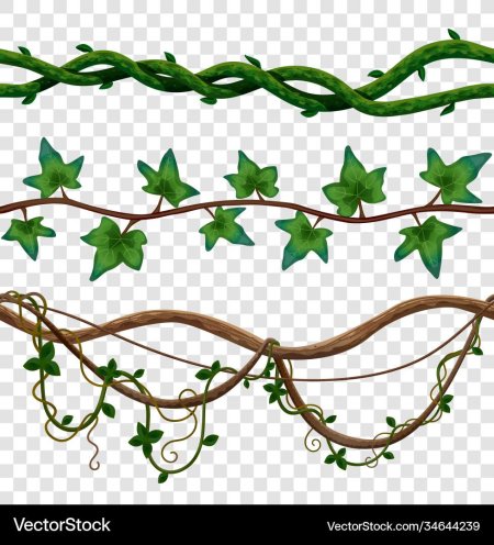 Векторные лианы