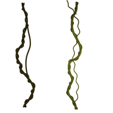 Лиана лоза Вьюнок