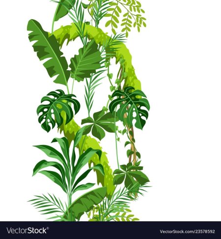 Тропические лианы