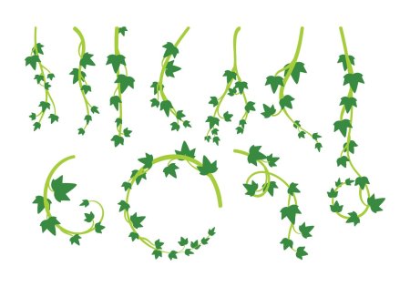 Свисающие лианы