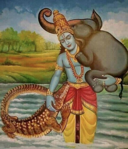 Слон ГАДЖЕНДРА