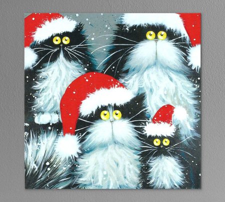 Ким Хаскинс (Kim Haskins)