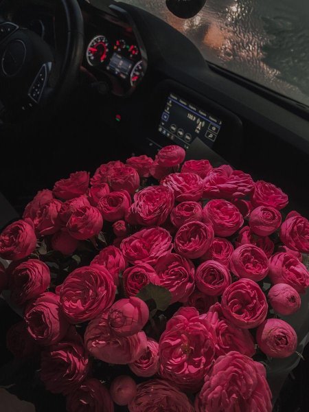Цветы в машине
