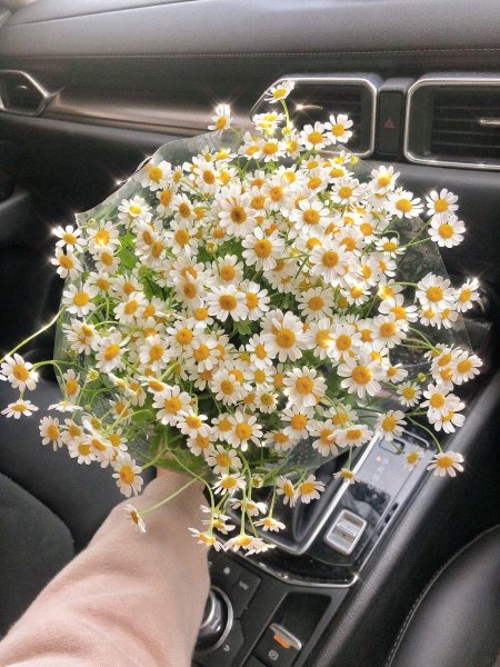 Цветы фейк фото