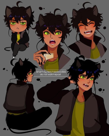 КВАМИ Тикки и Плагг в аниме