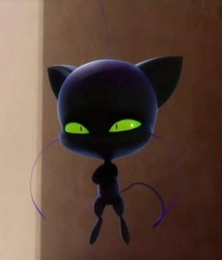 Леди баг и супер кот Плагг