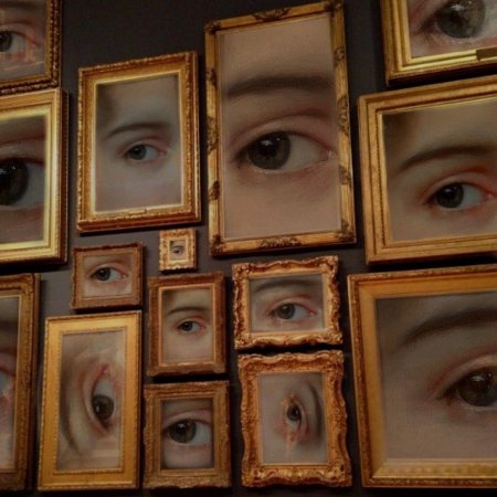 Множество глаз