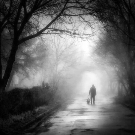 Уходящий в туман