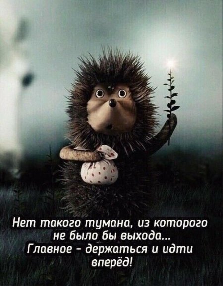 Ежик в тумане
