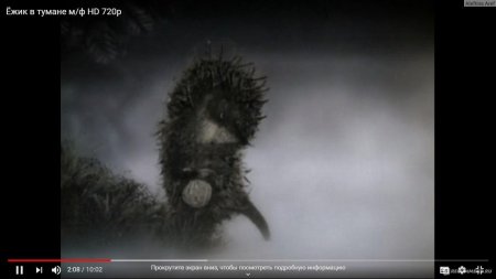 Ежик в тумане