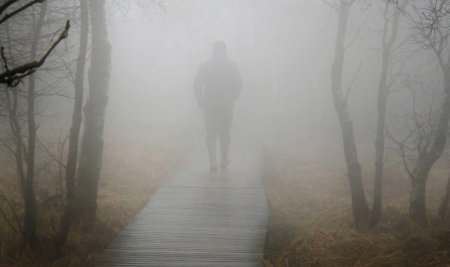 Ушла в туман