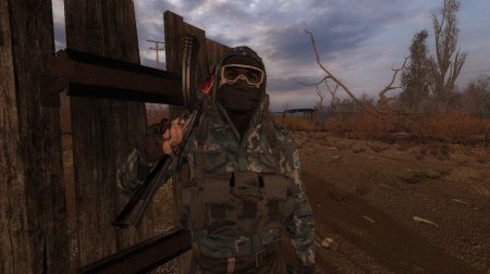 Сталкер New Vision of War