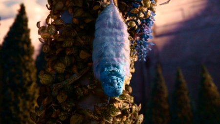 Абсолем гусеница