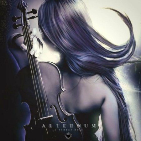 Скрипачка фэнтези арт