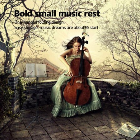 Девушки со скрипкой