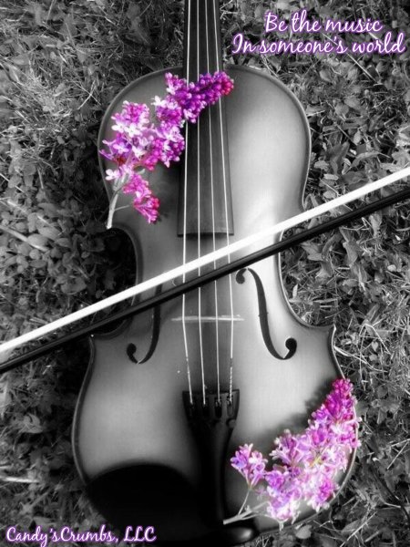 Красивая скрипка