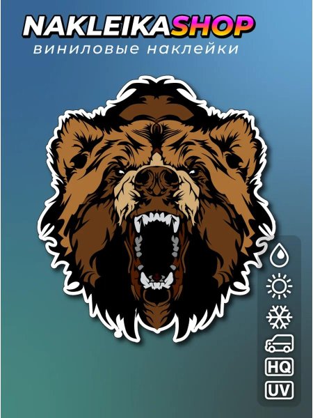 Морда медведя