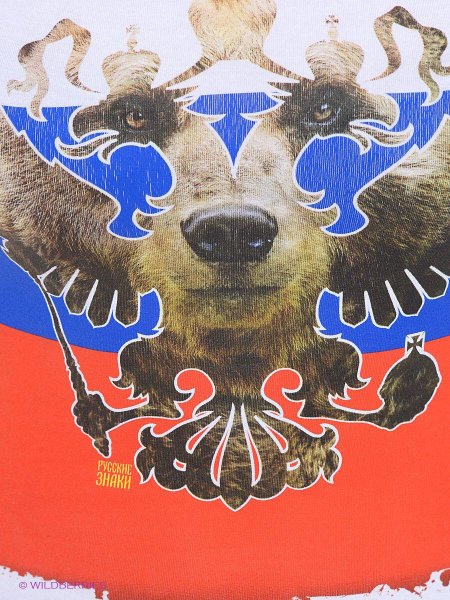 Медведь Россия