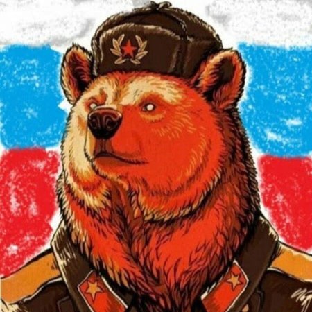 Медведь Россия