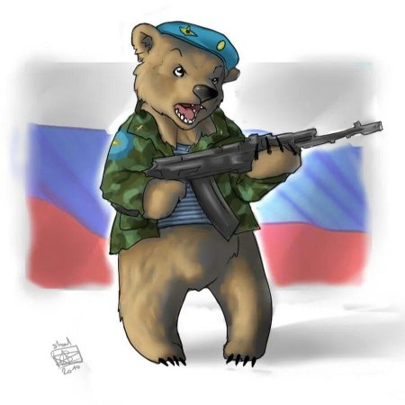 Медведь в военной форме