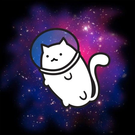 Космический кот