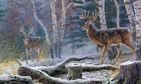 Al Agnew художник