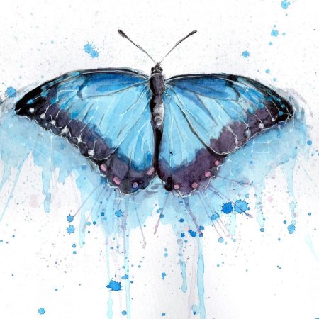 Акварельная бабочка