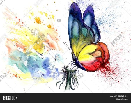 Акварель "бабочка"