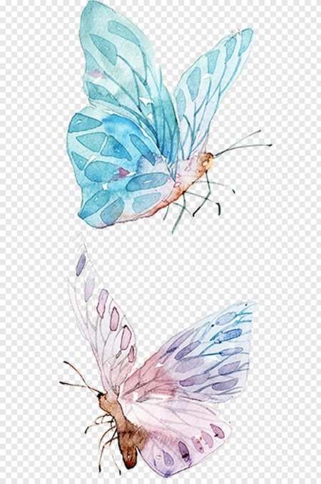 Акварель "бабочка"