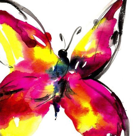 Акварель "бабочка"