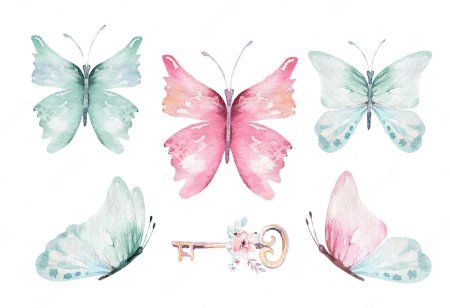 Акварель "бабочка"