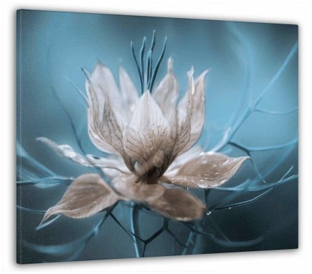 Фантазийные цветы