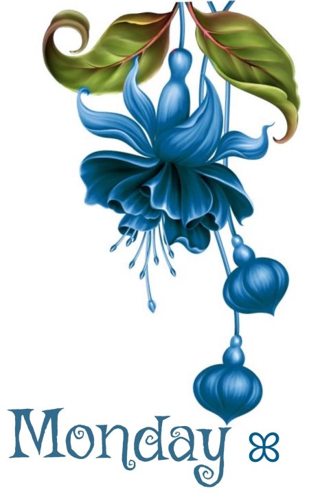 Barnali Bagchi фуксия