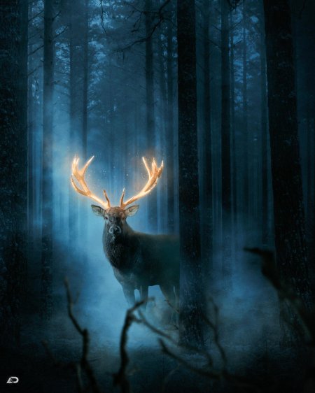 Голова на фоне фотошоп