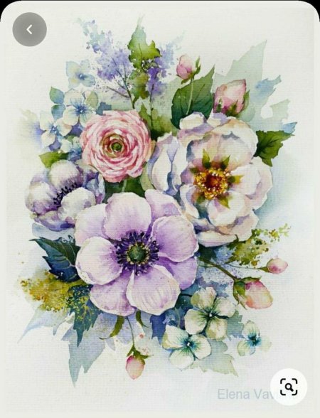 Елена Вавилина цветы