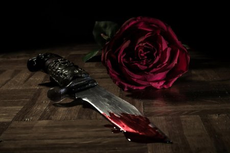 Нож и роза
