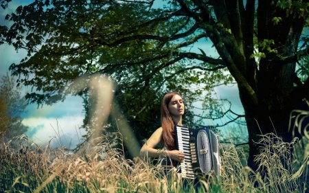 Девушка с аккордеоном
